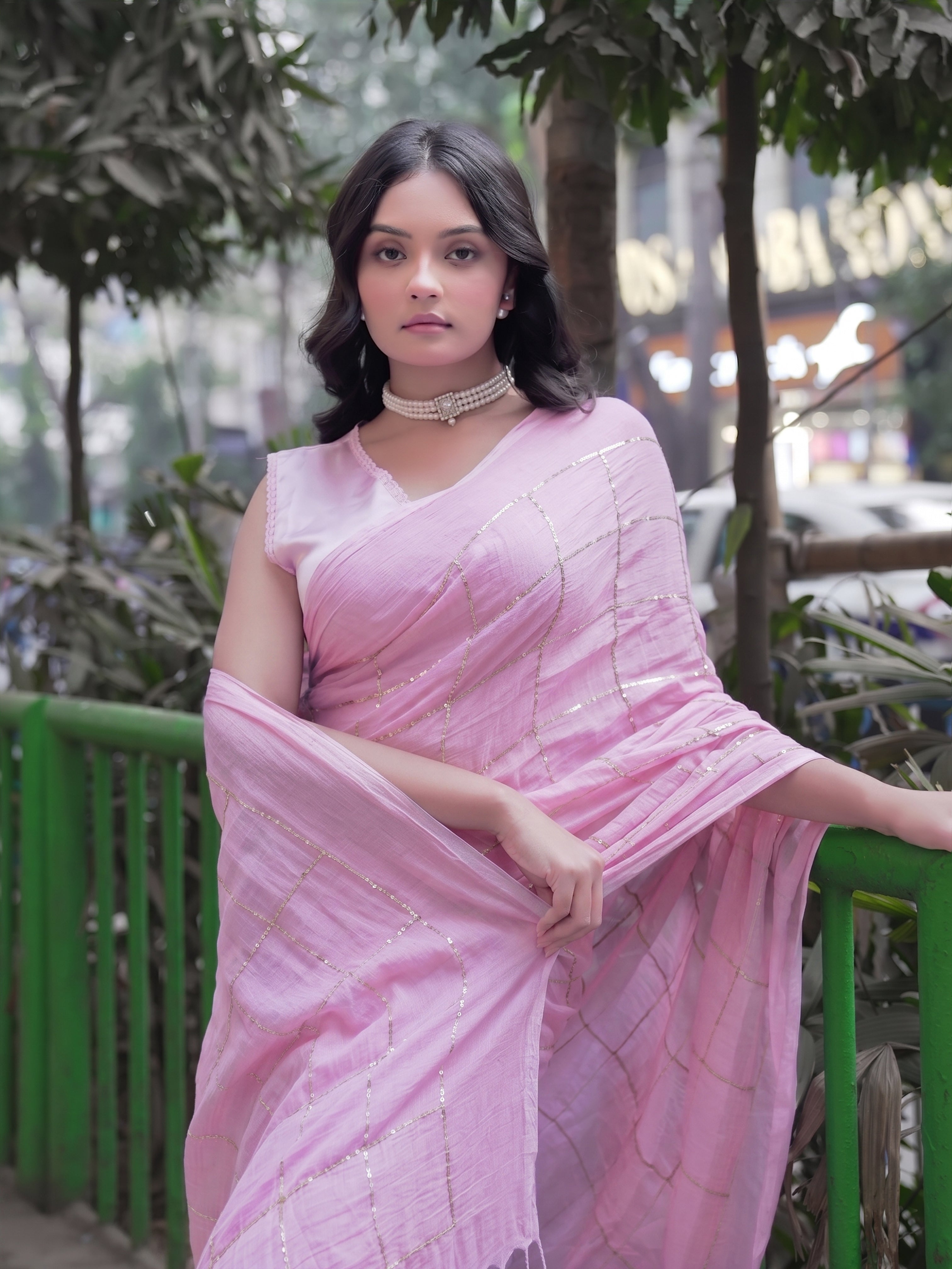 Rani ki kahani Saree