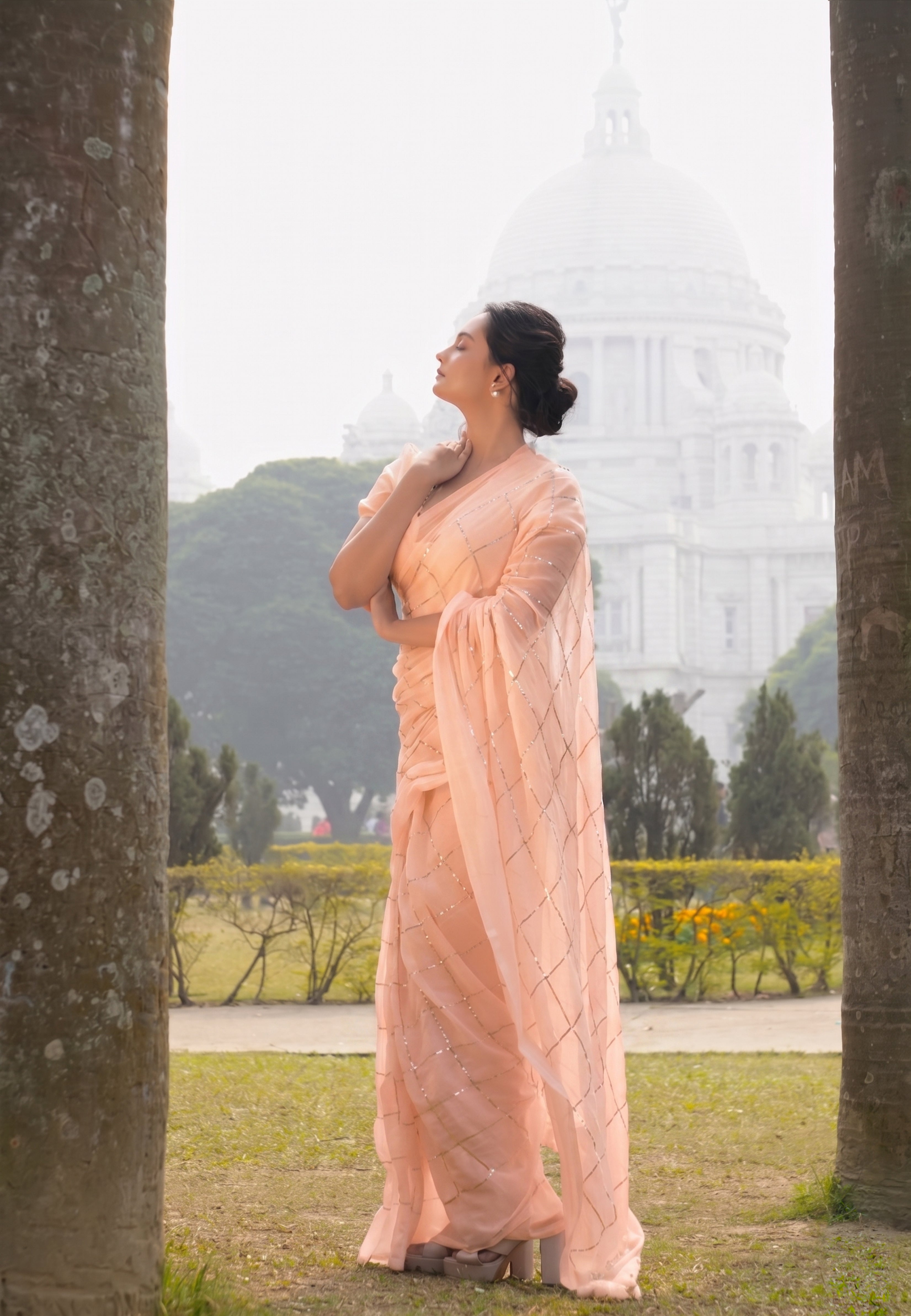 Rose Petals Saree