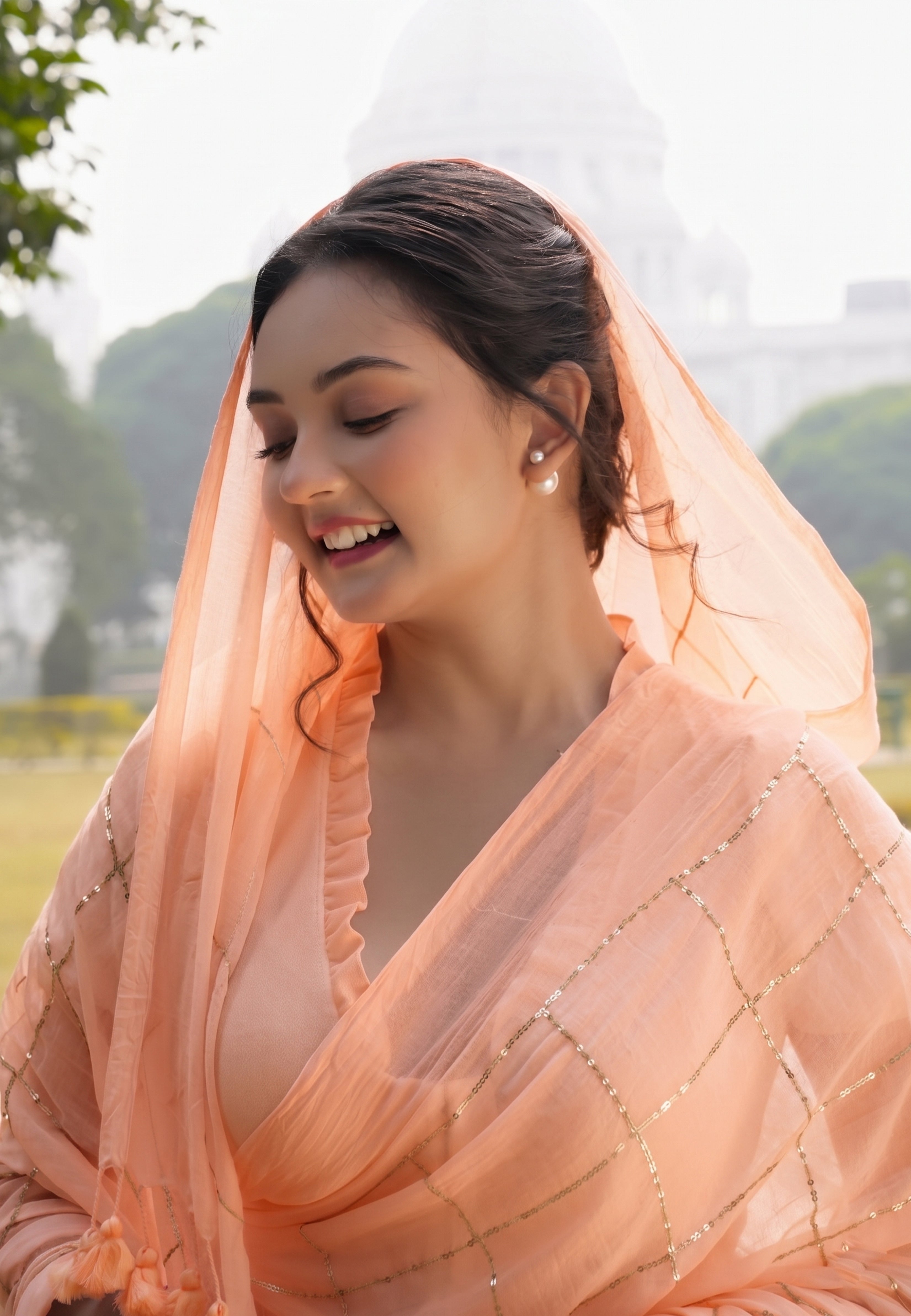 Rose Petals Saree
