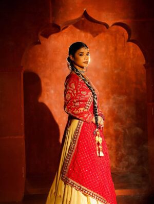 Amnaya Lehenga - Image 4