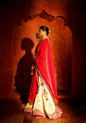 Amnaya Lehenga - Image 3