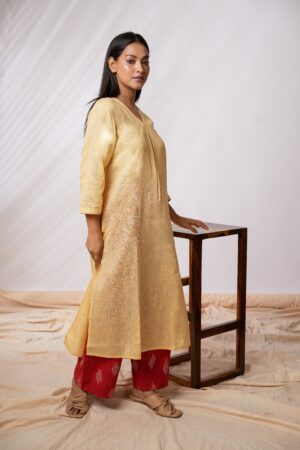 Aza Beige Kurta Set - Image 4